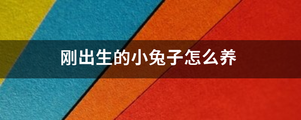 刚出生的小兔子怎么养