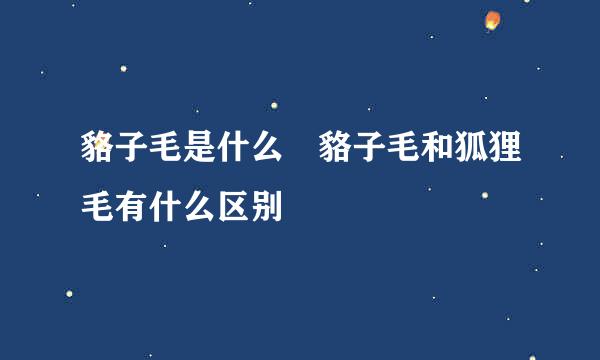 貉子毛是什么 貉子毛和狐狸毛有什么区别