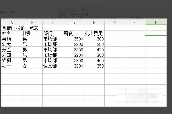 Ex假谈cel表格中筛选如何设置多个条件？