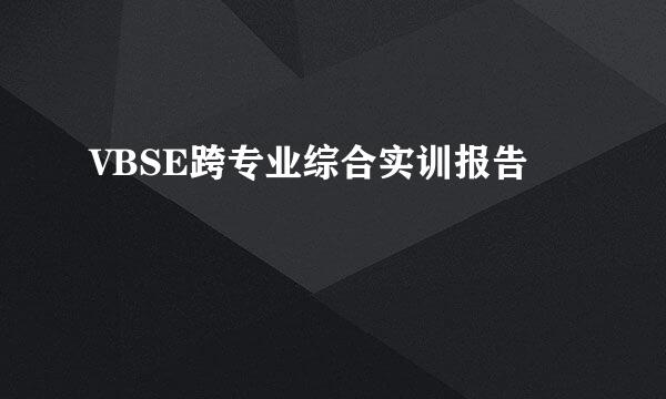 VBSE跨专业综合实训报告