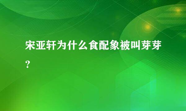 宋亚轩为什么食配象被叫芽芽？