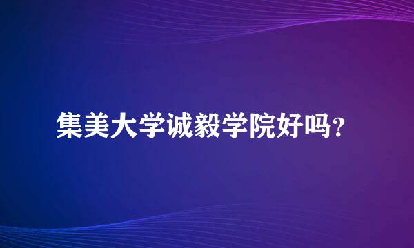 集美大学诚毅学院好吗？