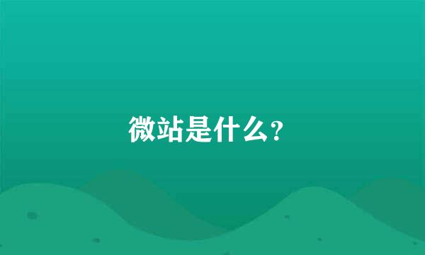 微站是什么？