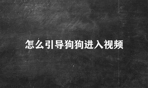 怎么引导狗狗进入视频