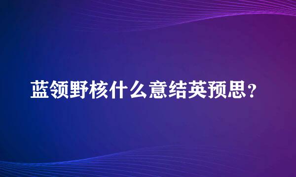 蓝领野核什么意结英预思？