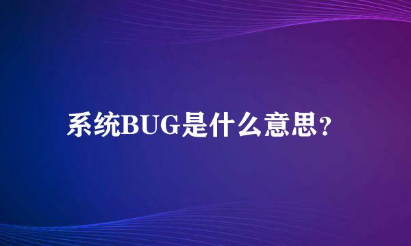 系统BUG是什么意思？