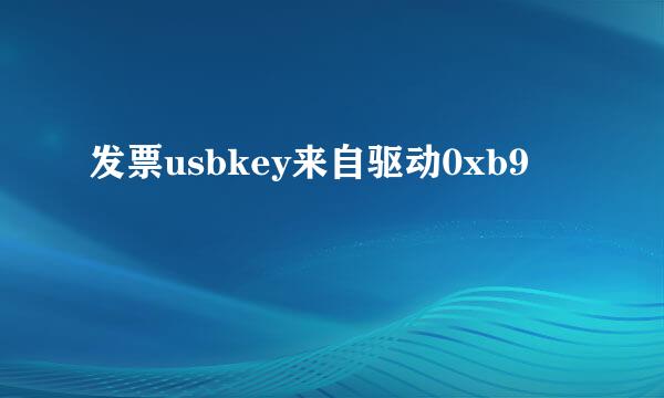 发票usbkey来自驱动0xb9