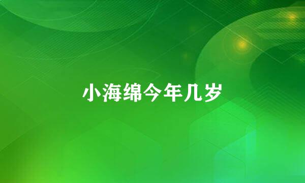 小海绵今年几岁