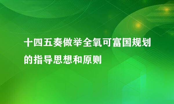 十四五奏做举全氧可富国规划的指导思想和原则