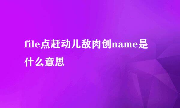 file点赶动儿敌肉创name是什么意思