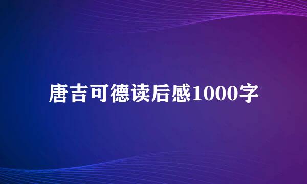 唐吉可德读后感1000字