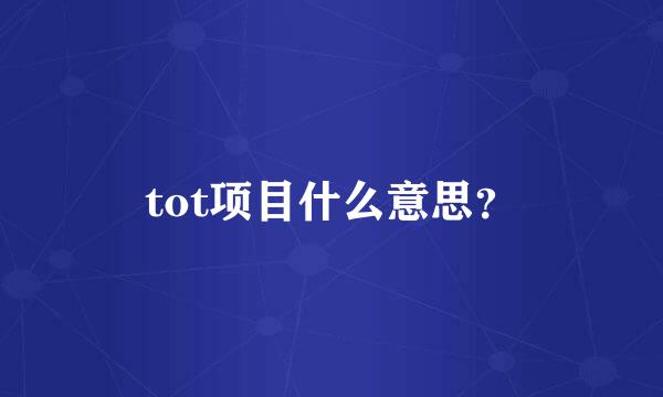 tot项目什么意思？