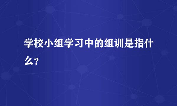 学校小组学习中的组训是指什么？