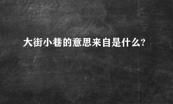 大街小巷的意思来自是什么?