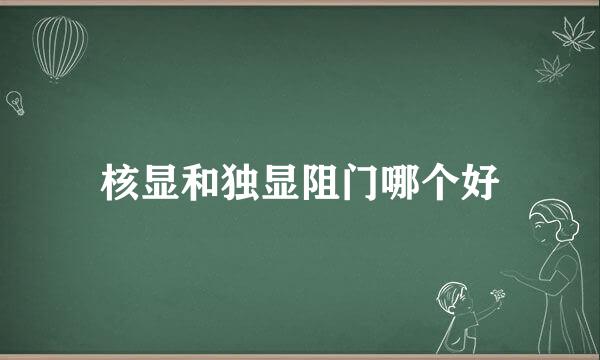 核显和独显阻门哪个好