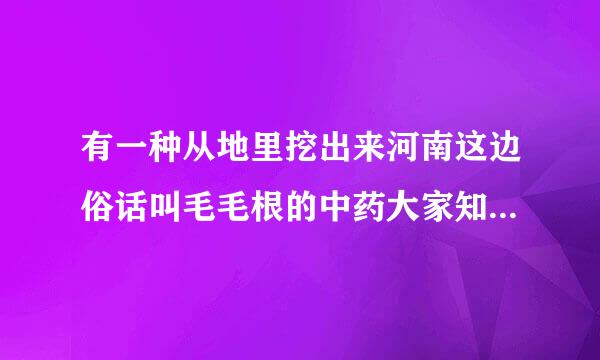 有一种从地里挖出来河南这边俗话叫毛毛根的中药大家知道吗，功效是什么？