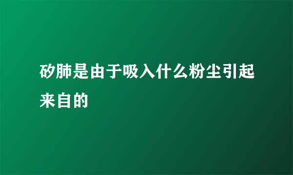 矽肺是由于吸入什么粉尘引起来自的