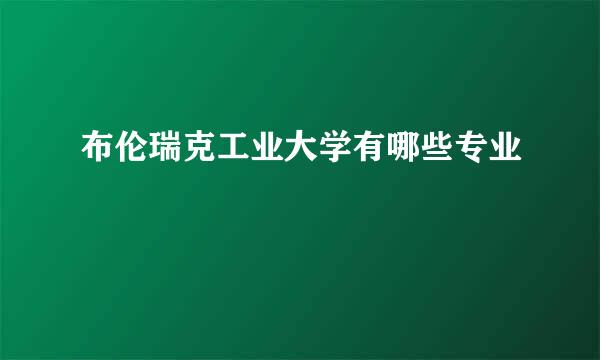 布伦瑞克工业大学有哪些专业