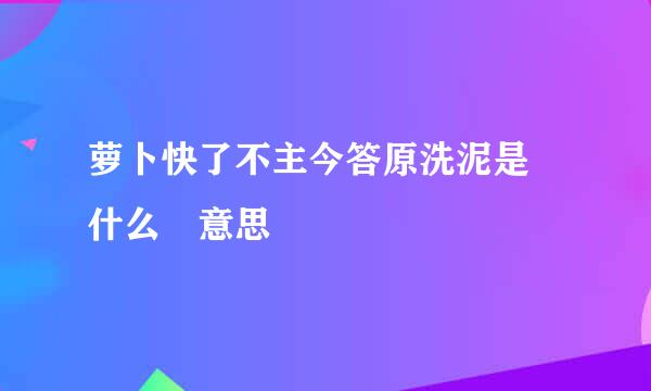 萝卜快了不主今答原洗泥是 什么 意思