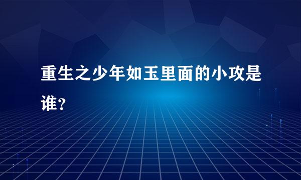 重生之少年如玉里面的小攻是谁？