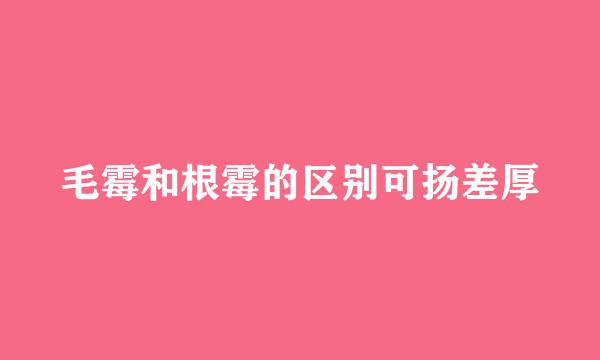 毛霉和根霉的区别可扬差厚