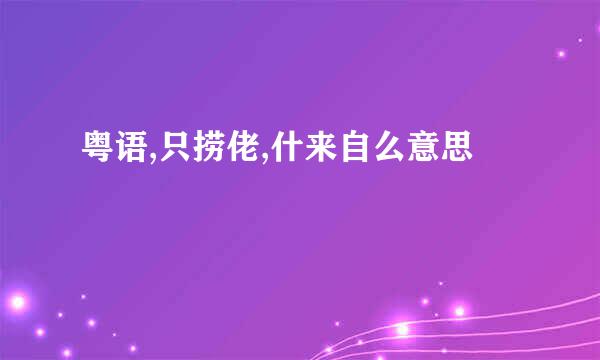 粤语,只捞佬,什来自么意思