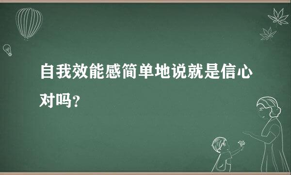 自我效能感简单地说就是信心对吗？