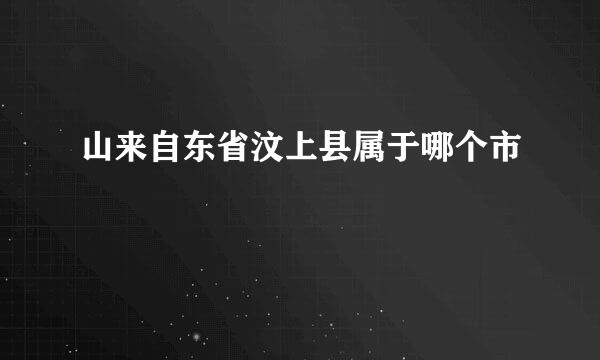 山来自东省汶上县属于哪个市