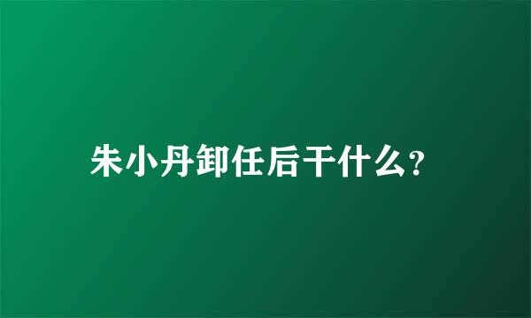 朱小丹卸任后干什么？