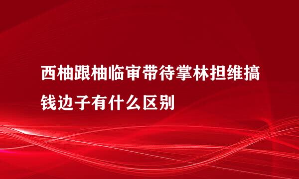 西柚跟柚临审带待掌林担维搞钱边子有什么区别