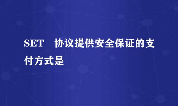 SET 协议提供安全保证的支付方式是