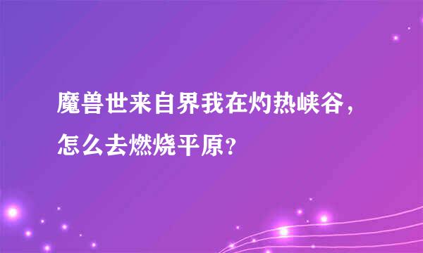 魔兽世来自界我在灼热峡谷，怎么去燃烧平原？