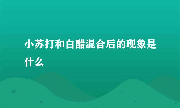 小苏打和白醋混合后的现象是什么