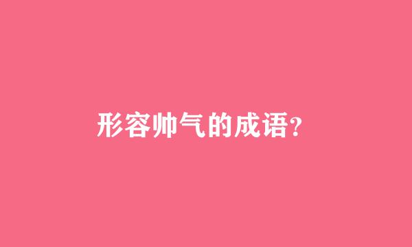 形容帅气的成语？