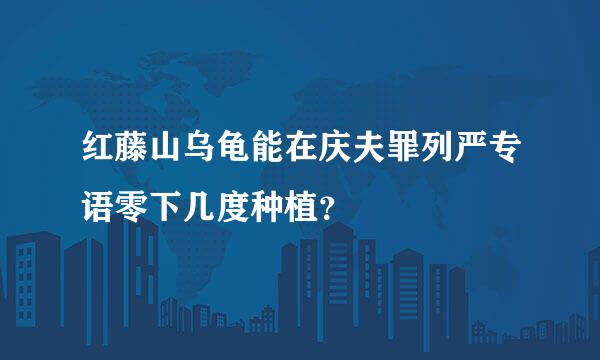 红藤山乌龟能在庆夫罪列严专语零下几度种植？