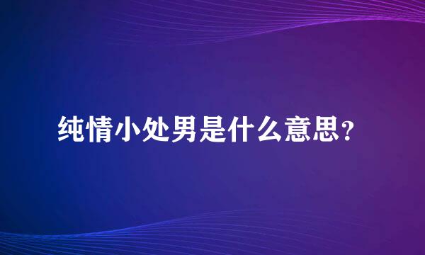 纯情小处男是什么意思？