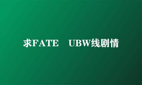 求FATE UBW线剧情