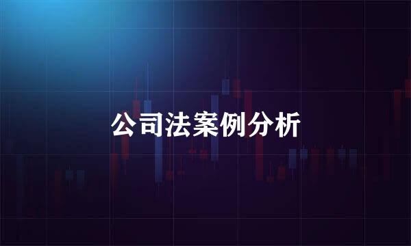 公司法案例分析