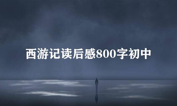 西游记读后感800字初中