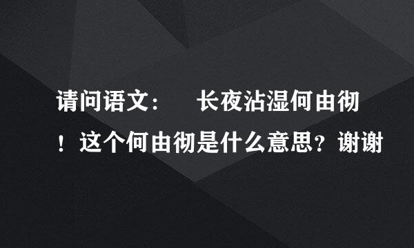 请问语文： 长夜沾湿何由彻！这个何由彻是什么意思？谢谢