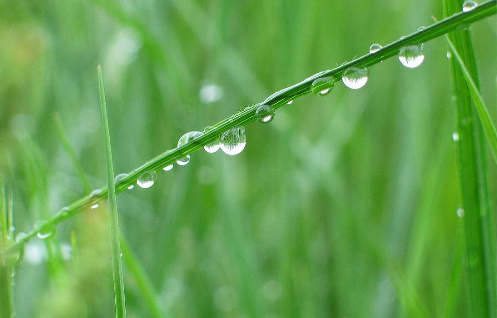 雨的四季基文中第二段运用了哪些修辞手法，有什么作用