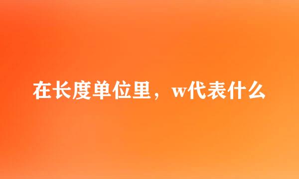 在长度单位里，w代表什么