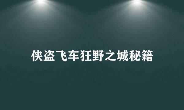 侠盗飞车狂野之城秘籍