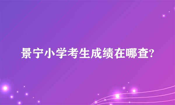 景宁小学考生成绩在哪查?