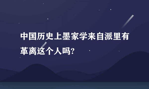 中国历史上墨家学来自派里有革离这个人吗?