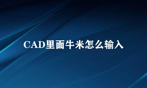 CAD里面牛米怎么输入