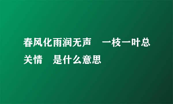 春风化雨润无声 一枝一叶总关情 是什么意思