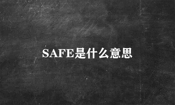 SAFE是什么意思