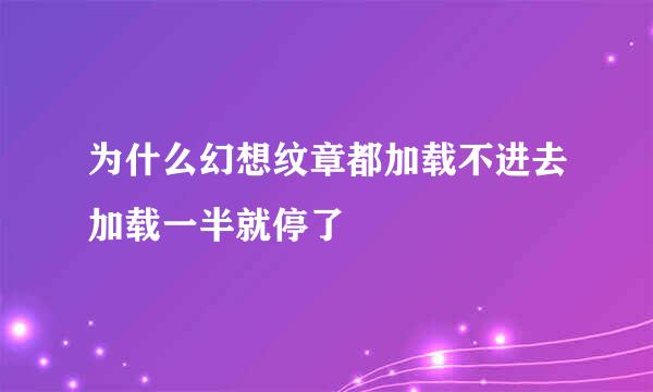 为什么幻想纹章都加载不进去加载一半就停了