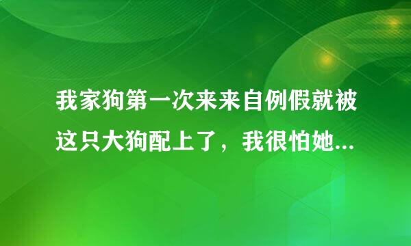 我家狗第一次来来自例假就被这只大狗配上了，我很怕她怀上的话会难产 ，你们能给我点建议吗360问答，体型相差得多吗